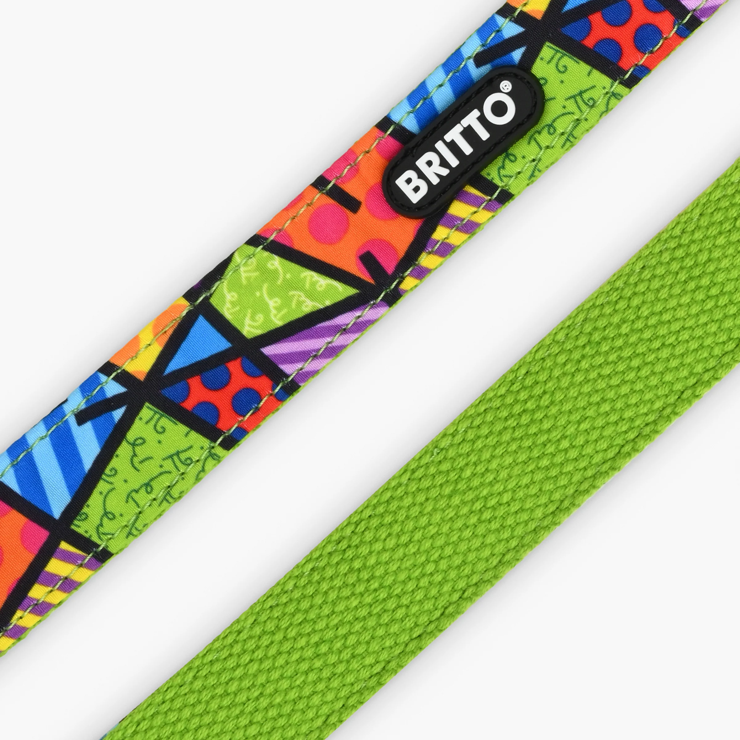 Lime Green Landscape Britto Pet Collar and Leash - Image 5