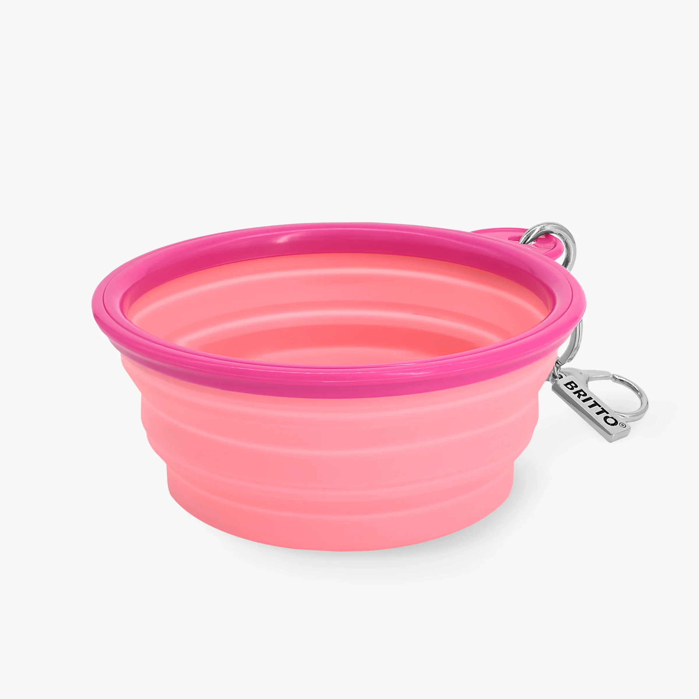 Pink Bones Britto Pet Travel Bowl - Image 5