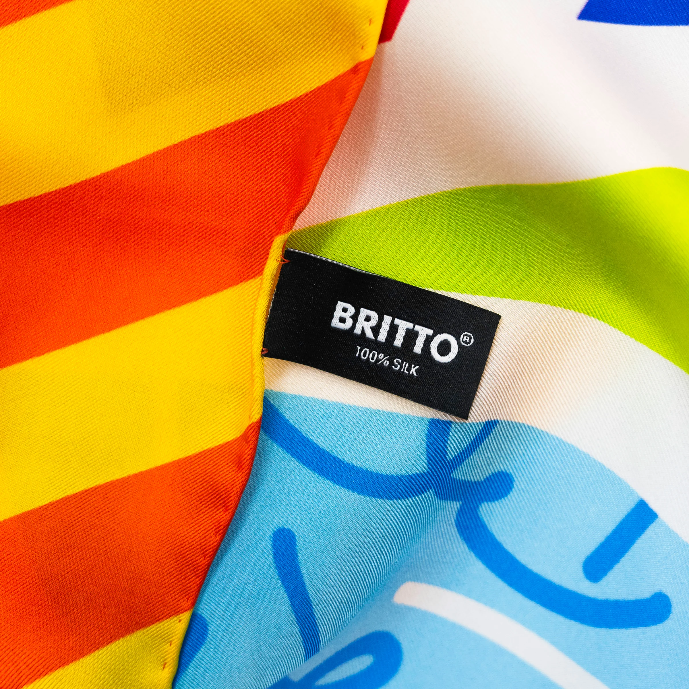 Baby Blue Landscape Britto Silk Scarf - Image 6