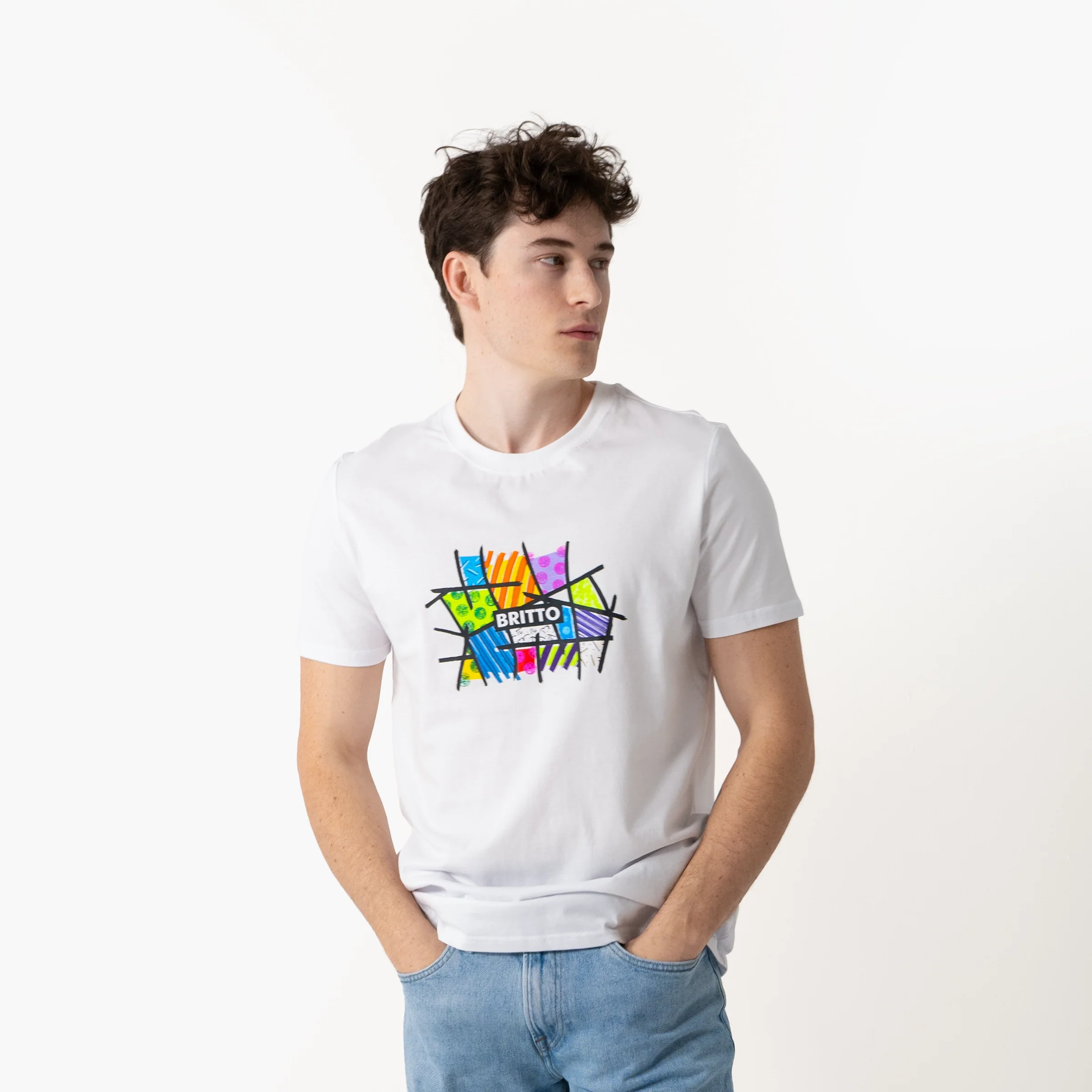 Fun Landscape Britto T-Shirt For Men