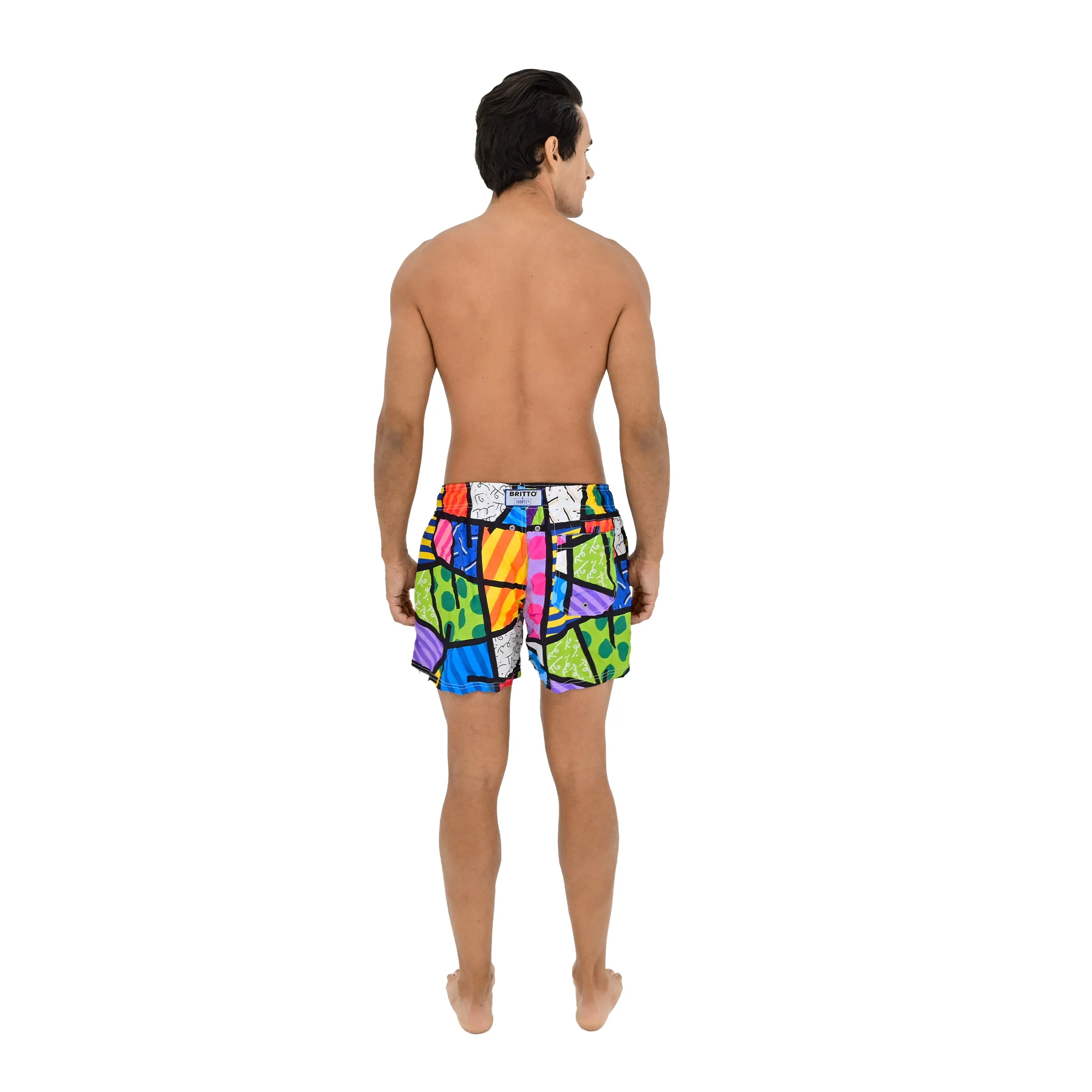 Colorful Landscape Britto Shorts For Men - Image 6