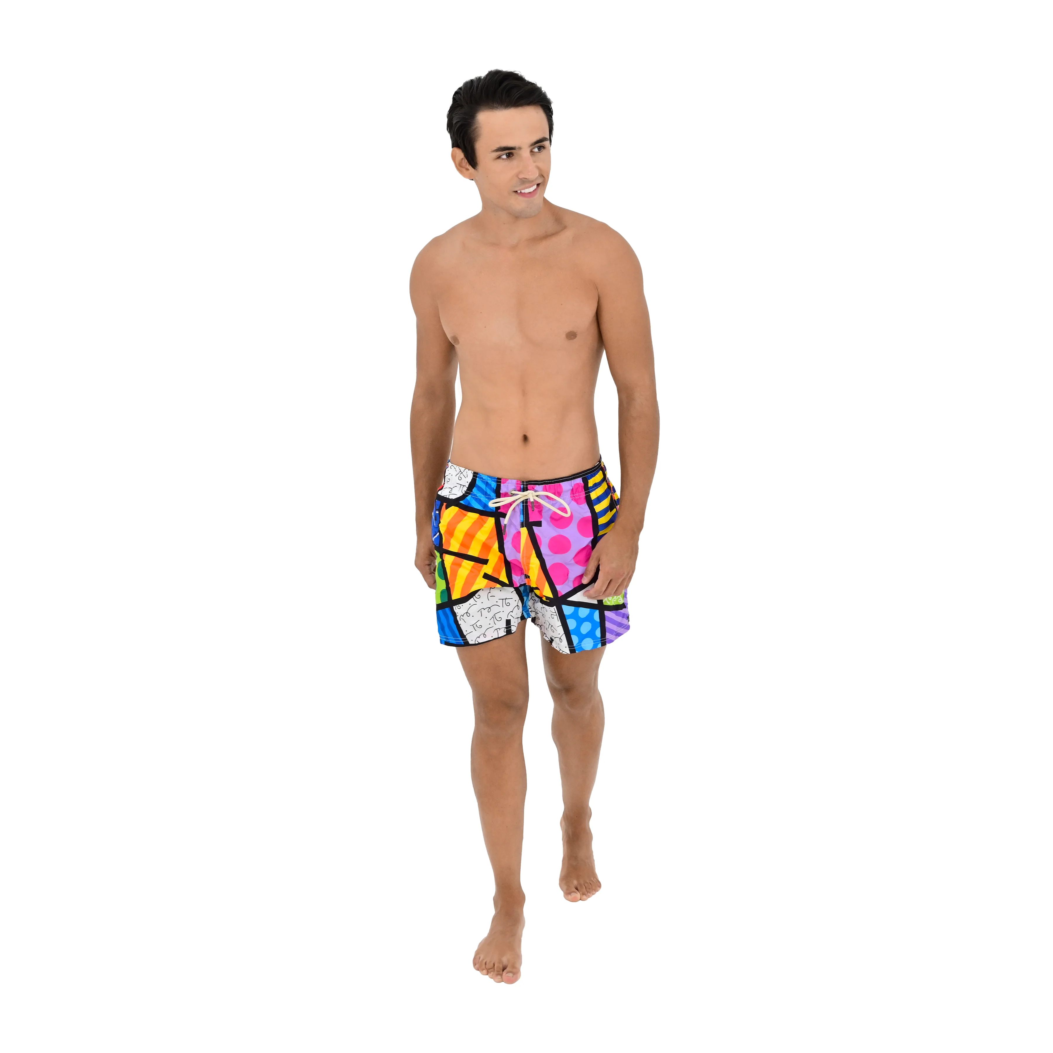 Colorful Landscape Britto Shorts For Men - Image 9