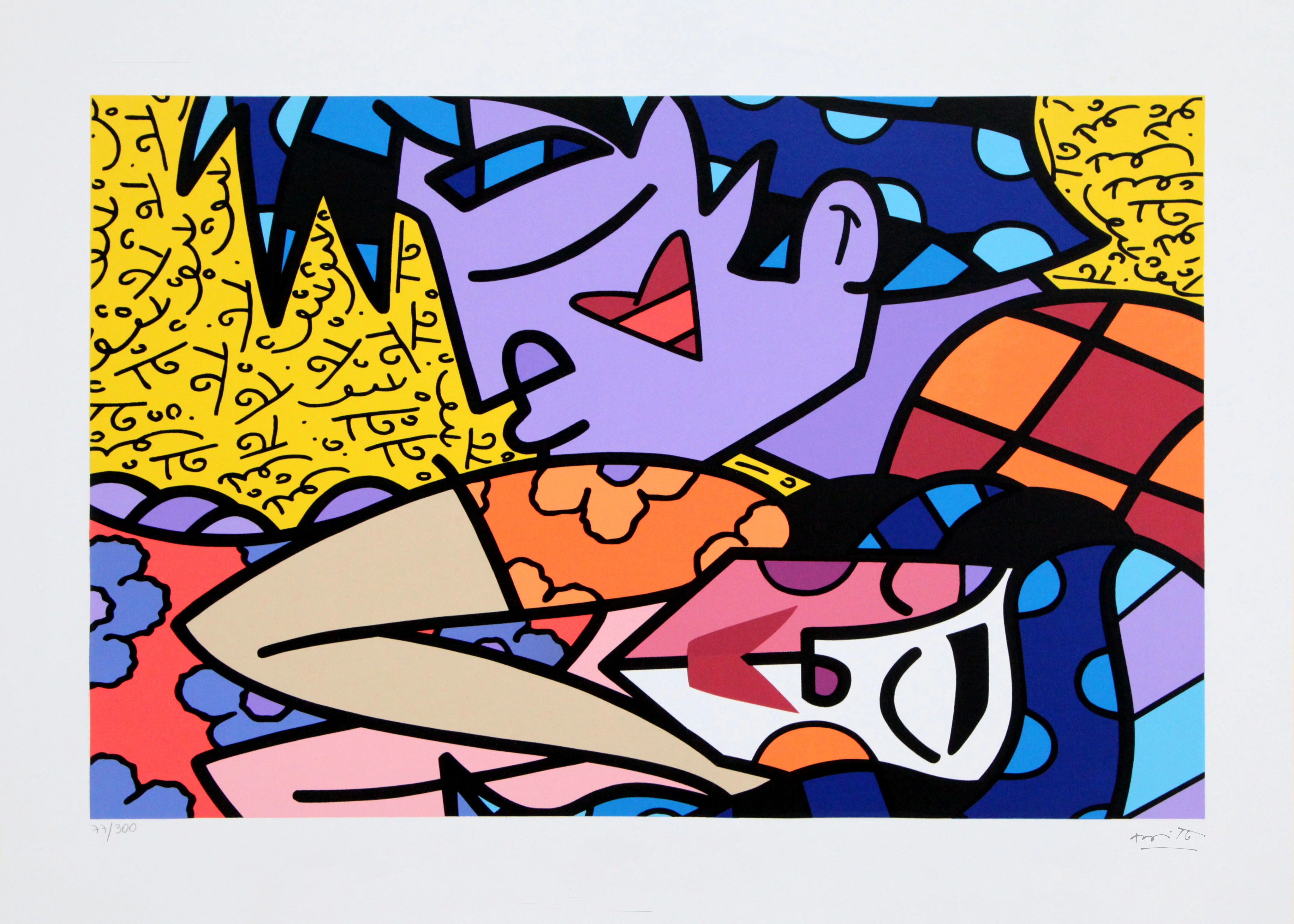 PORTFOLIO OF SERIGRAPHS - BRAZIL COLLECTION - Image 10